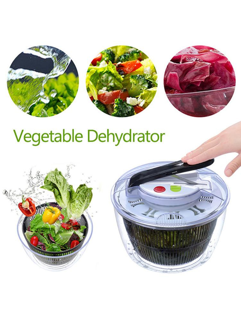 Vegetable & Fruit Dryer